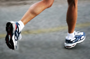 legs.jpg